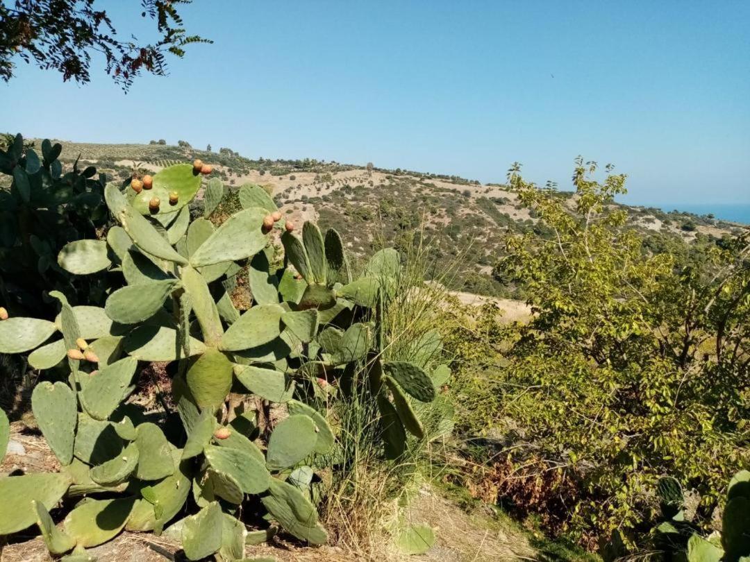 Grassetti Villa Montegiordano Kültér fotó