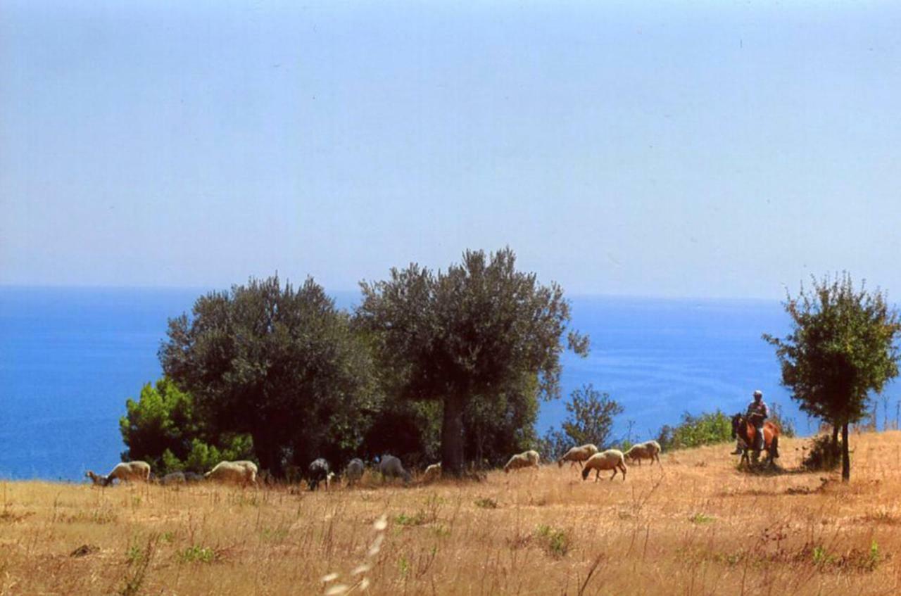 Grassetti Villa Montegiordano Kültér fotó