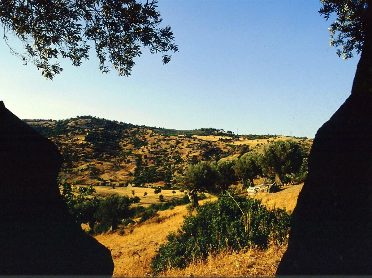 Grassetti Villa Montegiordano Kültér fotó